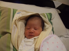 dscf0371.jpg