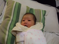 dscf0373.jpg