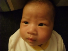 dscf0502.jpg