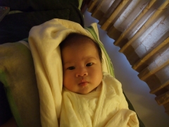 dscf0509.jpg