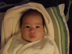 dscf0512.jpg