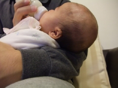 DSCF0709.JPG