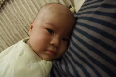 光頭Hoy-2m14d (20081228)