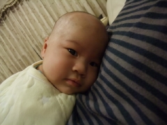 DSCF0752.JPG