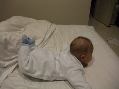 dscf1033.jpg