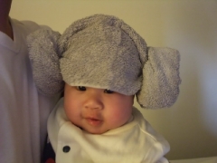 dscf1060.jpg