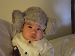 dscf1069.jpg