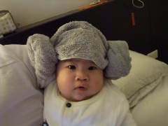dscf1072.jpg