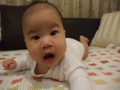 dscf1181.jpg