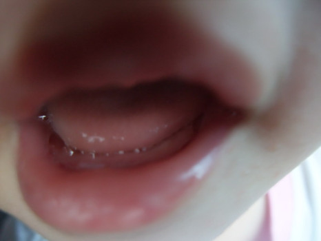 dscf1546.jpg