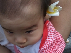 dscf1908.jpg