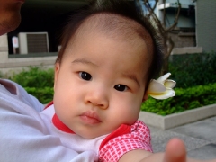 dscf1935.jpg