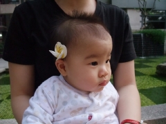 dscf1956.jpg