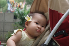 雞蛋花妹妹-7m10d (20090524) 