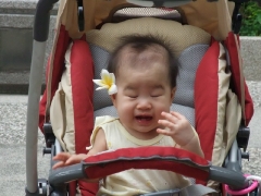dscf2064.jpg