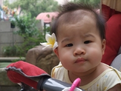 dscf2072.jpg