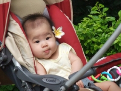 dscf2079.jpg