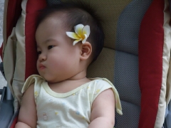 dscf2085.jpg