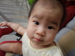 dscf2095.jpg