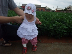 dscf2186.jpg