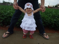 dscf2193.jpg