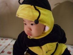 dscf2978