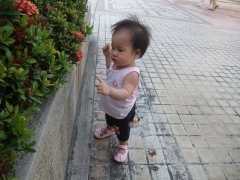 dscf3126
