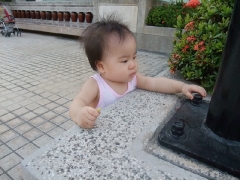 dscf3127
