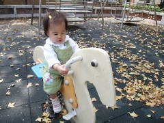 dscf3965