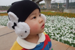 飛牛牧場 - 1Y2m17d (20100101)