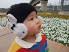 dscf4681