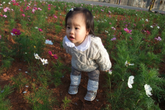 爺爺種的花田 - 1Y3m2d (20100115)