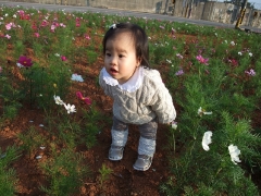dscf4859