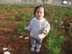 dscf4867
