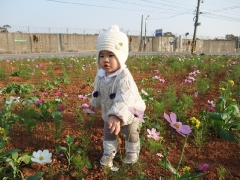 dscf4895