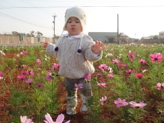 dscf4906