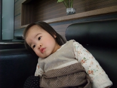 dscf5239