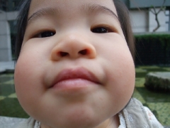 dscf5347