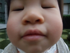 dscf5348