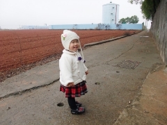 dscf5546