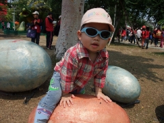 dscf6005