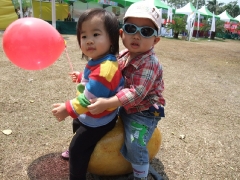 dscf6008