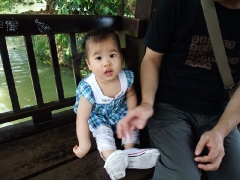 dscf6446