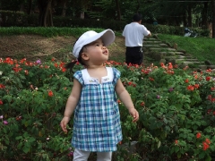 dscf6518