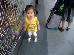 dscf7534