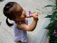 dscf7811