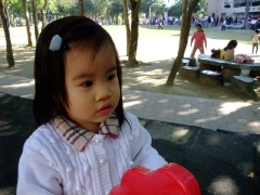 dscf8640