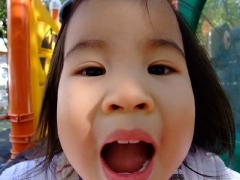 dscf8654