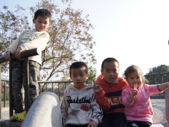 dsc00385.jpg