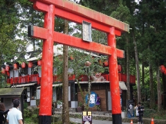 SONY DSC